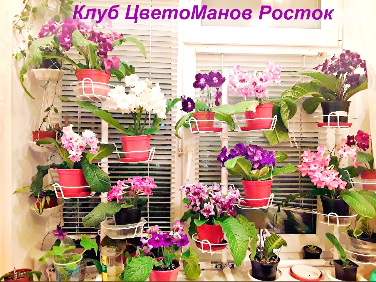 металлическая подставка для растений на подоконник. Фото N4
